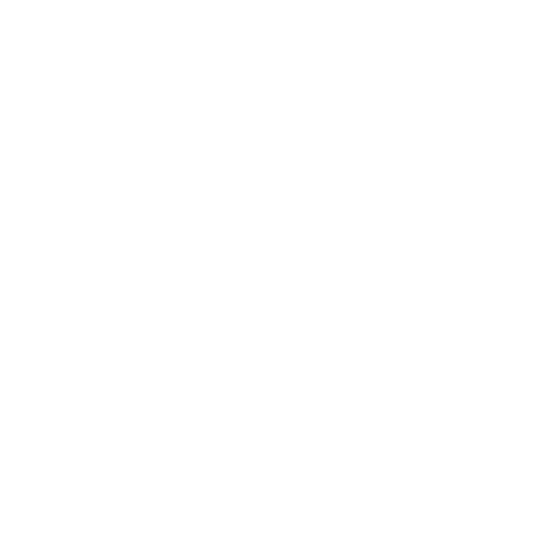 The Elephant